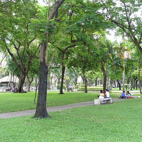 Top 5 công viên với phong cảnh hữu tình tại Sài Gòn – Ranking Board