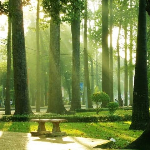 Top 5 công viên với phong cảnh hữu tình tại Sài Gòn – Ranking Board