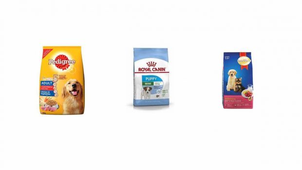 Top 5 loại thức ăn dạng hạt bổ dưỡng cho tất cả chó con